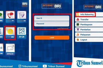 Cara Mengatasi Lupa Password Internet Banking Bri