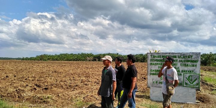 Apa Itu Tanah HGU Simak Aturan Jangka Waktu Dan Hapusnya Hak Guna Usaha