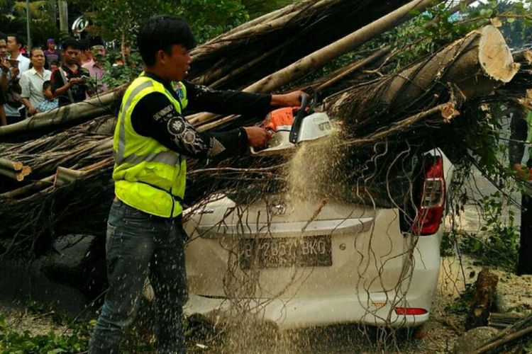 Foto Pohon Tumbang Di Palmerah Timpa Dua Mobil