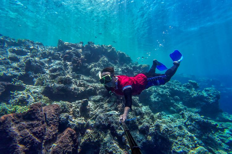 Snorkeling Di Pulau Menjangan Tn Bali Barat Indahnya Surga Bawah Laut