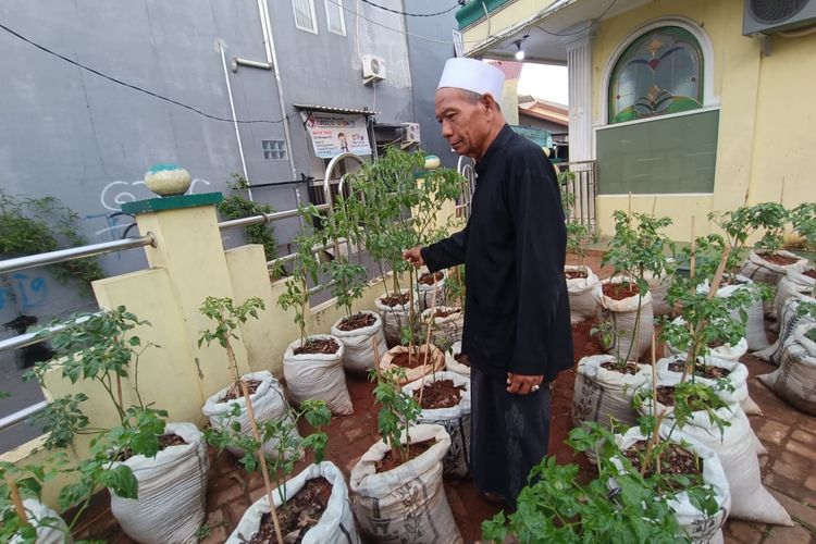 Foto Merawat Cabai Sepenuh Hati Demi Meringankan Beban Ekonomi Warga