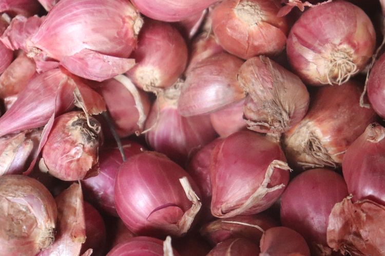 Manfaat Kulit Bawang Merah Untuk Tanaman Jadi Pestisida Hingga Zpt