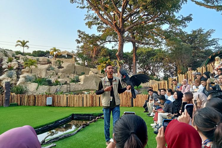 Pengalaman Menonton Atraksi Burung Di Taman Burung TMII