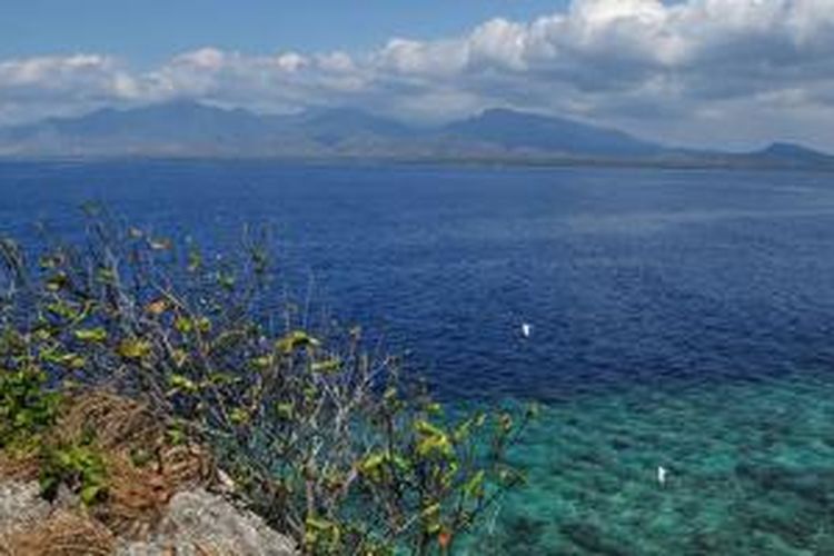 Pulau Menjangan Sekeping Surga Di Pulau Bali