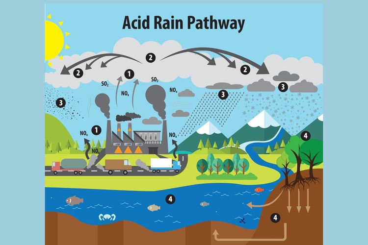 Foto Hujan Asam Penyebab Proses Dampak Dan Cara Mencegahnya Halaman
