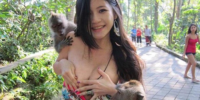 Monkey sex shows