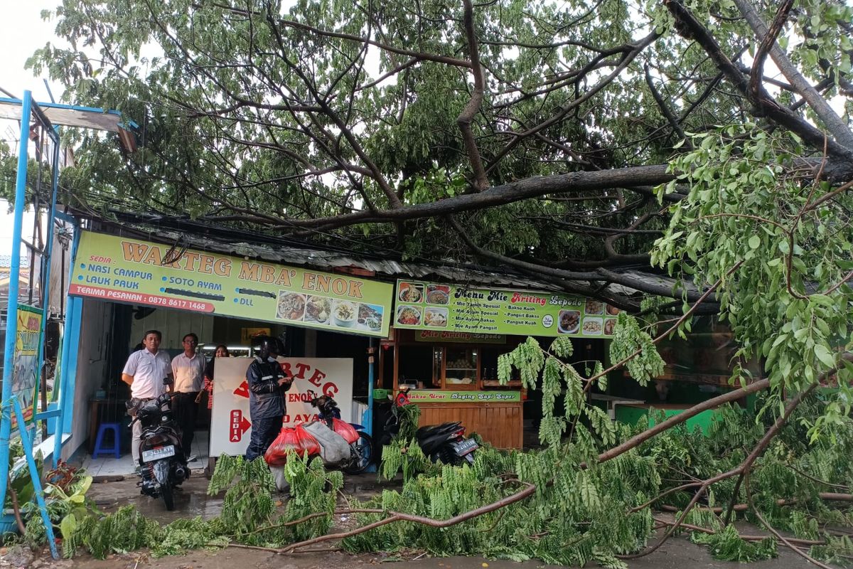 Hujan Deras Dan Angin Kencang Di Bekasi Pohon Setinggi Meter Tumbang