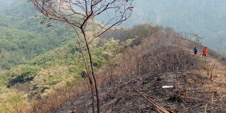 Berita Harian Hutan Gunung Anjasmoro Terbakar Terbaru Hari Ini Kompas