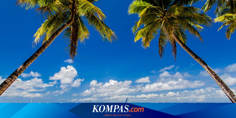 Nekat Pakai Bikini Terlalu Seksi Turis Taiwan Kena Denda Rp 684 000 Di Boracay