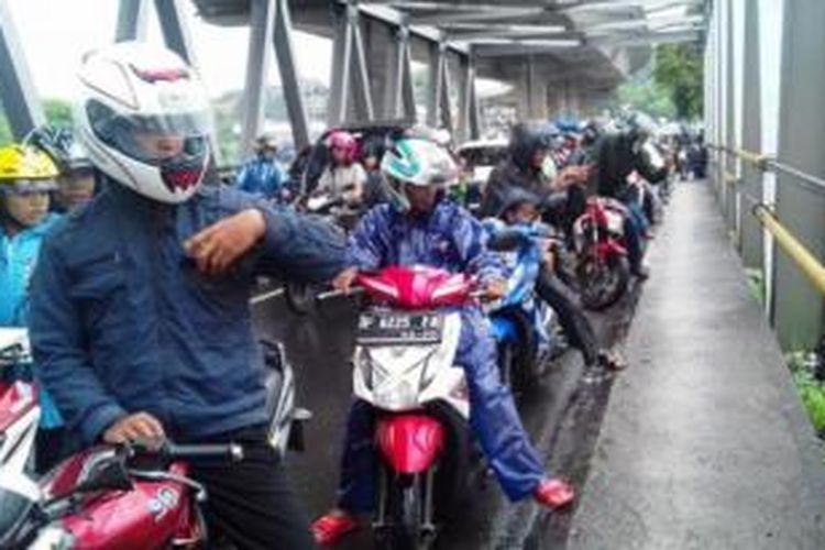 Ini Foto Foto Ikan Raksasa Yang Terdampar Di Sungai Ciliwung