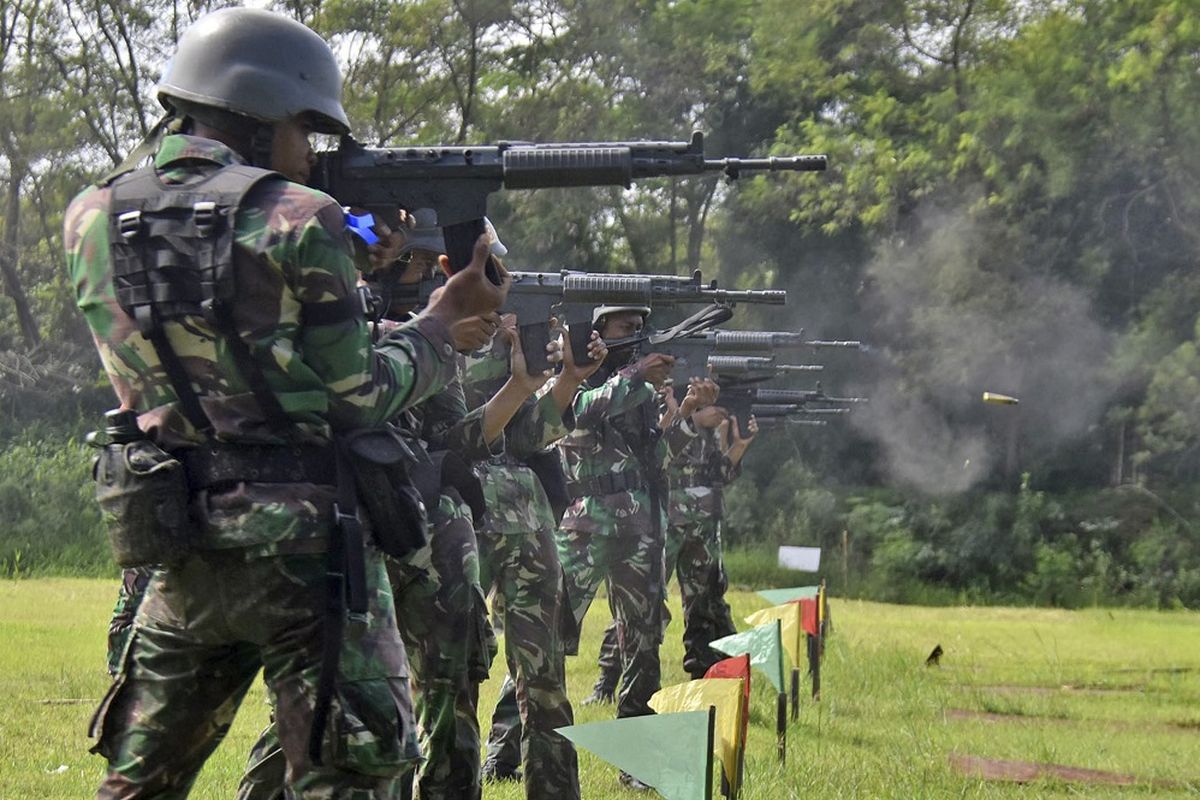 Tentara Nasional Indonesia Sejarah Fungsi Dan Tugasnya Halaman All