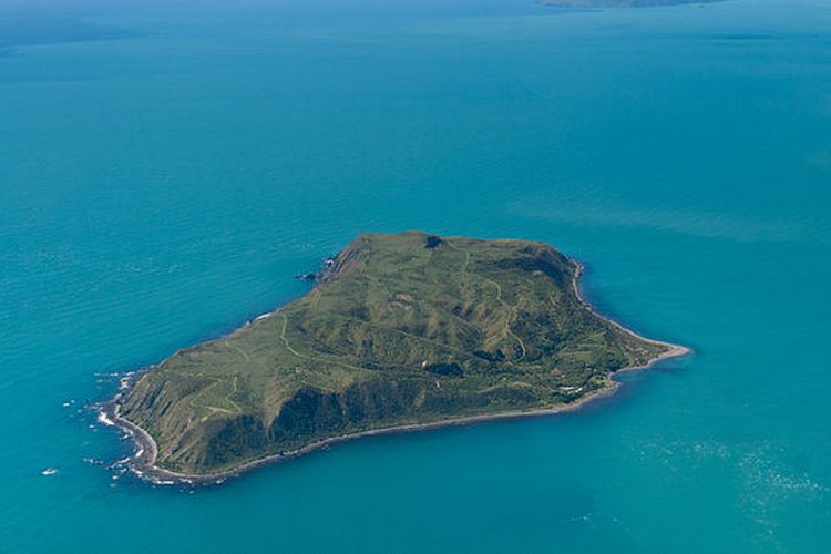 Melihat Kehidupan Di Mana Island Pulau Yang Hanya Dihuni Dua Manusia