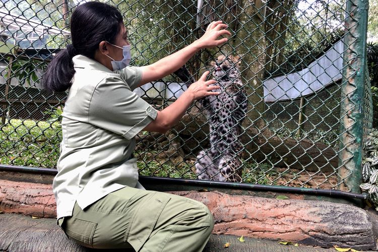 Foto Cerita Sri Swarmi Jadi Orangtua Asuh Hewan Yang Dibuang Induknya