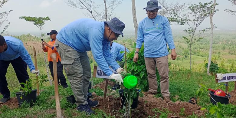 Berita Harian Penghijauan Lahan Kritis Terbaru Hari Ini Kompas