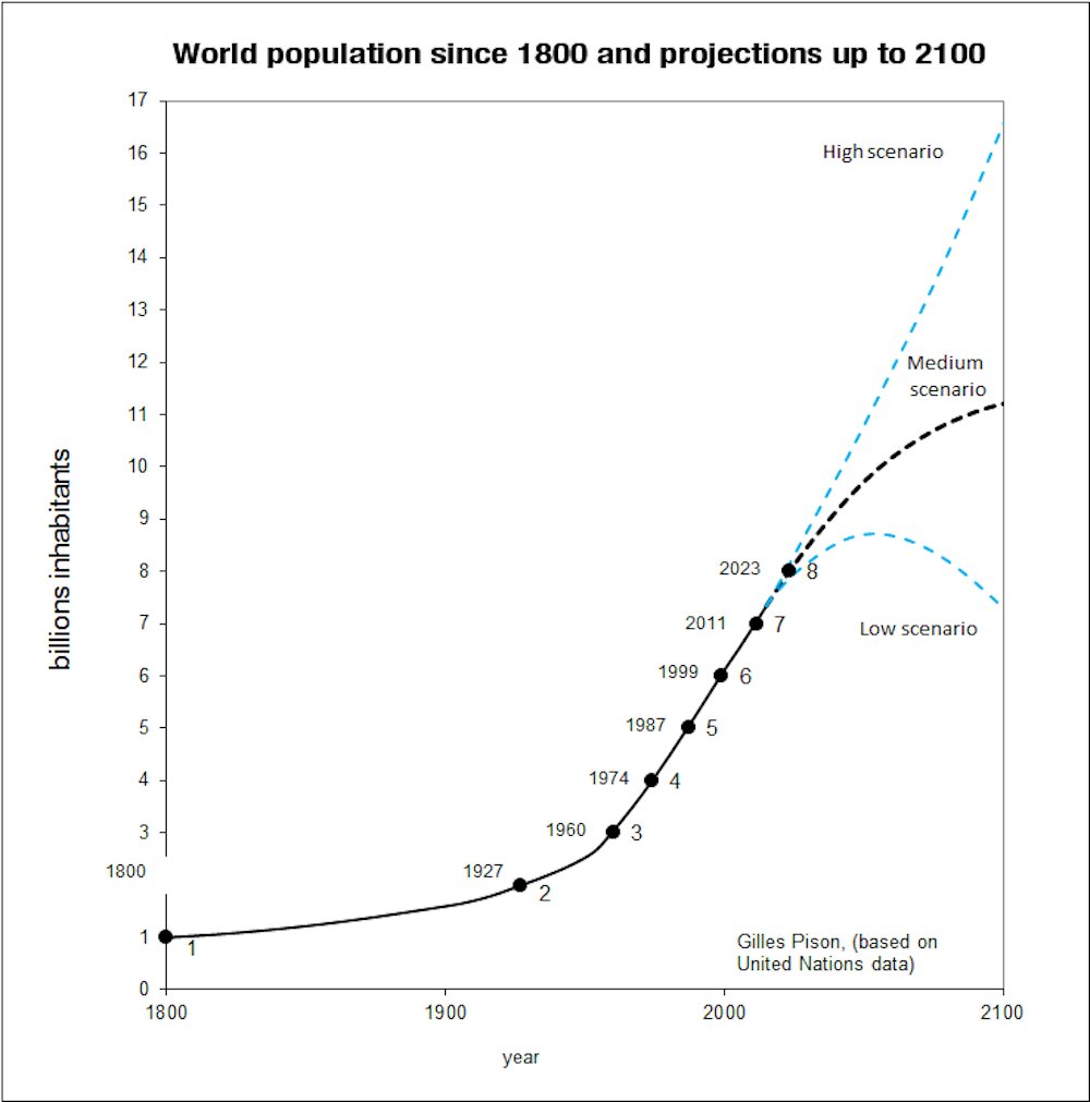 La población mundial alcanza los 8 mil millones, ¿está superpoblada la Tierra?  Página todo fuera
