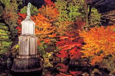 Di kolam Fudaraku taman Yuzen-en, wisatawan dapat melihat patung Dewi Kwan Im dengan latar belakang pohon maple yang penuh warna