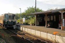 Stasiun Nakane di Jepang merupakan stasiun dengan pemandangan pedesaan yang indah, di mana platfromnya hanya terdiri dari peron yang diberi atap. Di sekitar stasiun ini ada peninggalan sejarah seperti kofun (kuburan kuno Jepang) dan banyak lagi. 
