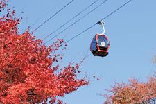 Kobe Nunobiki Herb Garden. Taman yang bisa dijangkau dengan 5 menit jalan kaki dari stasiun Shin-Kobe ini terkenal dengan atraksi kereta gantungnya. 