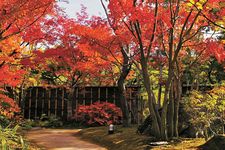 Taman Kokoen di Prefektur Hyogo, Jepang, ini melatarbelakangi Benteng Himeji.