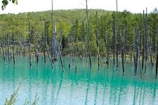 Kolam biru Aoi Ike di Hokkaido, Jepang.