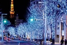 Pada Event Artelligent Christmas 2017 yang diselenggarakan pada 7 November sampai 25 Desember oleh Roppongi Hills, terdapat event iluminasi bernama Keyakizaka Illumination.