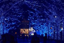 Lampu berwarna biru dipasang di sepanjang jalan taman Shibuya dan deretan pohon Keyaki di taman Yoyogi, Tokyo, Jepang. Event iluminasi ini digelar mulai 22-31 Desember 2017.