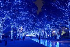 Lampu berwarna biru dipasang di sepanjang jalan taman Shibuya dan deretan pohon Keyaki di taman Yoyogi, Tokyo, Jepang. Event iluminasi ini digelar mulai 22-31 Desember 2017.