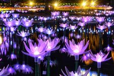 Ashikaga Flower Park terletak di Prefektur Tochigi, Jepang. Pada 20 Oktober 2017 taman ini dinobatkan sebagai salah satu dari tiga lokasi iluminasi terbesar di Jepang pada acara Yakei Summit 2017 di Ashikaga.