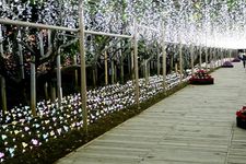 Ashikaga Flower Park terletak di Prefektur Tochigi, Jepang. Pada 20 Oktober 2017 taman ini dinobatkan sebagai salah satu dari tiga lokasi iluminasi terbesar di Jepang pada acara Yakei Summit 2017 di Ashikaga.