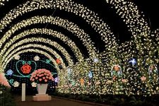 Ashikaga Flower Park terletak di Prefektur Tochigi, Jepang. Pada 20 Oktober 2017 taman ini dinobatkan sebagai salah satu dari tiga lokasi iluminasi terbesar di Jepang pada acara Yakei Summit 2017 di Ashikaga.