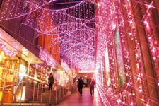 Shinjuku Terrace City Illumination 17-18 merupakan event iluminasi yang diadakan dari pintu keluar Barat Odakyu Line stasiun Shinjuku sampai dengan pintu keluar selatan. Event ini diadakan dari 15 November 2017 sampai 22 Februari 2018.