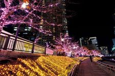 Di sepanjang pinggiran Sungai Meguro yang terbentang dari Stasiun Gotanda sampai dengan Stasiun Osaki yang terkenal sebagai spot bunga sakura ini diadakan event iluminasi bernama Meguro River Minna no Illumination 2017. Event ini diadakan dari 10 November 2017 sampai 8 Januari 2018. 