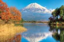 Untuk menikmati pemandangan Gunung Fuji di Jepang, Anda cukup datang ke Danau Tanuki yang terletak di Kota Fujinomiya, Prefektur Shizuoka.