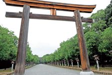 Gerbang kuil (tori) besar akan menyambut kita di jalan masuk Kuil Kashihara Jingu di kota Nara, Jepang. Pohon ek berjajar di kanan dan kiri jalan.