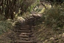 Untuk melihat Gunung Fuji, wisatawan harus melewati jalan yang dipenuhi oleh semak-semak di kanan dan kirinya untuk mencapai puncak Gunung Daruma yang berada di ketinggian 982 meter. 