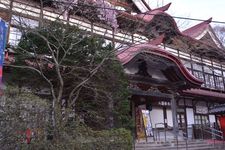 Taman Takatojoshi Koen di daerah Shinshu, Prefektur Nagano, Jepang, merupakan sebuah taman yang terkenal sebagai tempat melihat bunga sakura. Setiap tahun, sekitar 200.000 wisman datang ke taman ini.