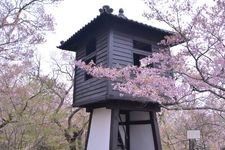 Taman Takatojoshi Koen di daerah Shinshu, Prefektur Nagano, Jepang, merupakan sebuah taman yang terkenal sebagai tempat melihat bunga sakura. Setiap tahun, sekitar 200.000 wisman datang ke taman ini.