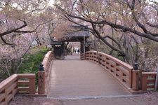 Taman Takatojoshi Koen di daerah Shinshu, Prefektur Nagano, Jepang, merupakan sebuah taman yang terkenal sebagai tempat melihat bunga sakura. Setiap tahun, sekitar 200.000 wisman datang ke taman ini.