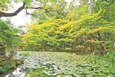 Kuil Tenjuan merupakan salah satu anak kuil yang ada di dalam areal Kuil Nanzenji di Kyoto, Jepang.