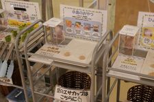 Moff animal cafe cabang Aeon Mall Makuhari Shintoshin di Prefektur Chiba, Jepang.