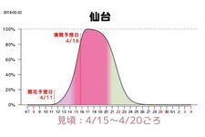 Grafik prakiraan waktu mekar sakura di Sendai