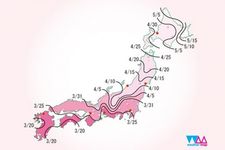 Peta prakiraan waktu mekar sakura di Jepang tahun 2018.