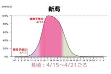 Grafik prakiraan waktu mekar sakura di Niigata