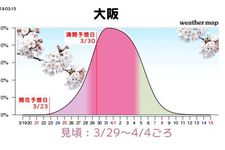 Grafik perkiraan mekarnya sakura di Osaka