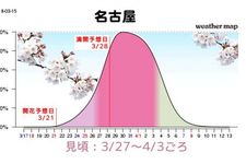 Grafik perkiraan mekarnya sakura di Nagoya