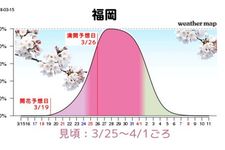 Grafik perkiraan mekarnya sakura di Fukuoka
