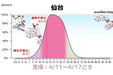 Grafik perkiraan mekarnya sakura di Sendai