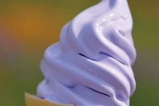 soft cream Lavender 