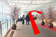 Bandara Haneda