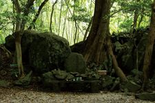 Makam Toyotamahime Nomikoto di belakang kuil.